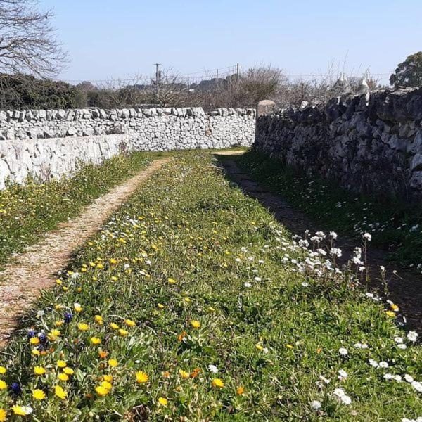 B&B Trulli sotto La Cupa Martina Franca Esterno foto