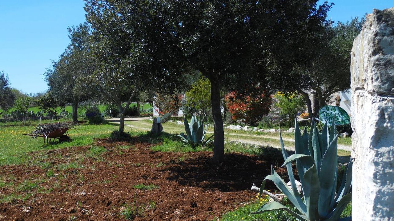 B&B Trulli sotto La Cupa Martina Franca Esterno foto